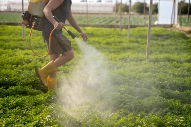  Blytheville, AR Pest Control Pros