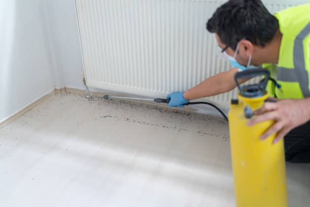 Best Affordable Exterminators  in Blytheville, AR